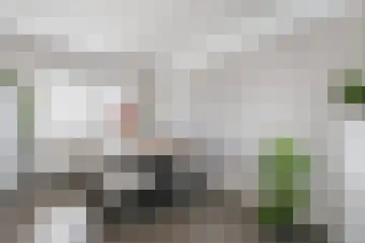 Wijnandt van Elststraat 30 Rijswijk thumbnail 24