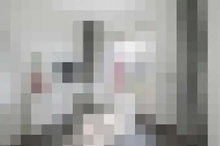 Wijnandt van Elststraat 30 Rijswijk thumbnail 25