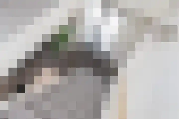 Wijnandt van Elststraat 30 Rijswijk thumbnail 28