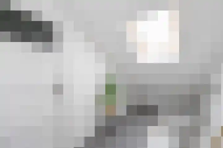 Wijnandt van Elststraat 30 Rijswijk thumbnail 29