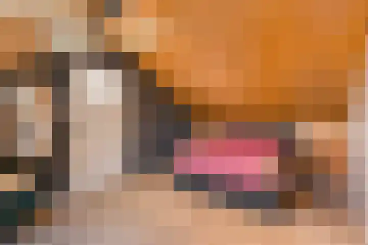 Wijnandt van Elststraat 30 Rijswijk thumbnail 30