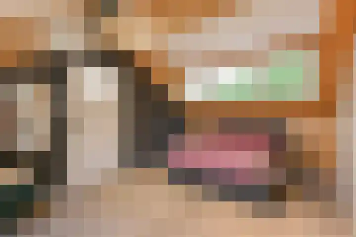 Wijnandt van Elststraat 30 Rijswijk thumbnail 31