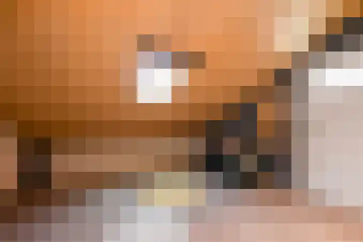 Wijnandt van Elststraat 30 Rijswijk thumbnail 33