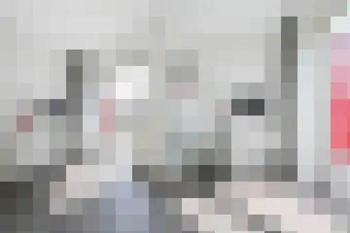 Wijnandt van Elststraat 30 Rijswijk thumbnail 34