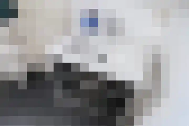 Wijnandt van Elststraat 30 Rijswijk thumbnail 37