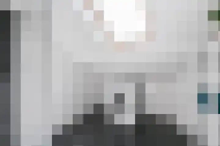 Wijnandt van Elststraat 30 Rijswijk thumbnail 38