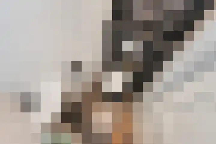 Wijnandt van Elststraat 30 Rijswijk thumbnail 8