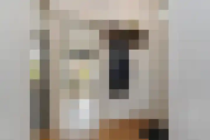 Wijnandt van Elststraat 40 Rijswijk thumbnail 11