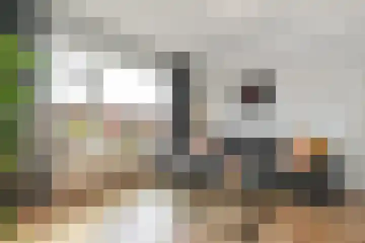 Wijnandt van Elststraat 40 Rijswijk thumbnail 12