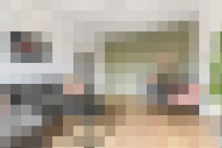 Wijnandt van Elststraat 40 Rijswijk thumbnail 13