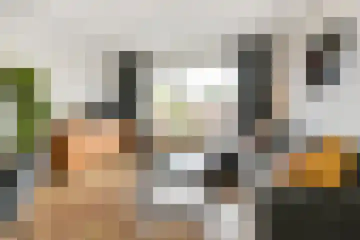 Wijnandt van Elststraat 40 Rijswijk thumbnail 14