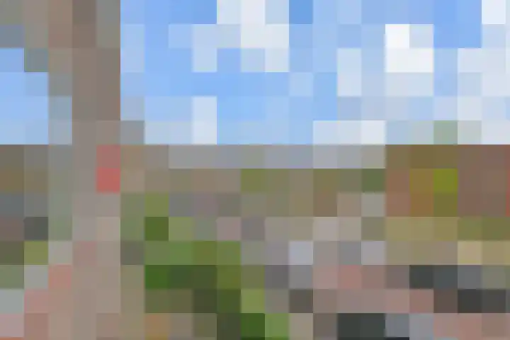 Wijnandt van Elststraat 40 Rijswijk thumbnail 20