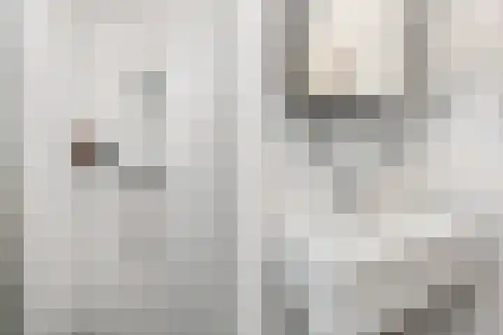 Wijnandt van Elststraat 40 Rijswijk thumbnail 22