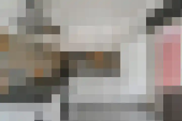 Wijnandt van Elststraat 40 Rijswijk thumbnail 23