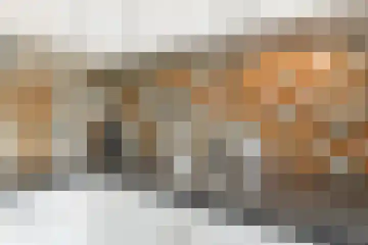 Wijnandt van Elststraat 40 Rijswijk thumbnail 26