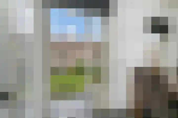 Wijnandt van Elststraat 40 Rijswijk thumbnail 28