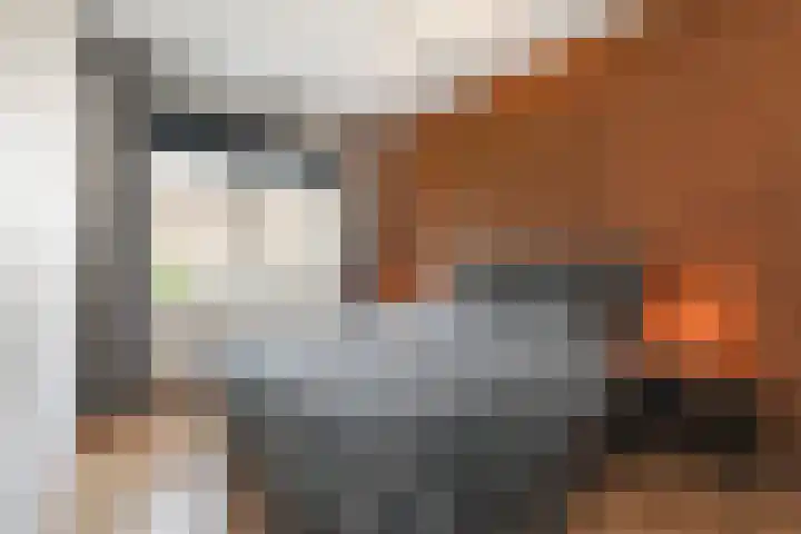 Wijnandt van Elststraat 40 Rijswijk thumbnail 31
