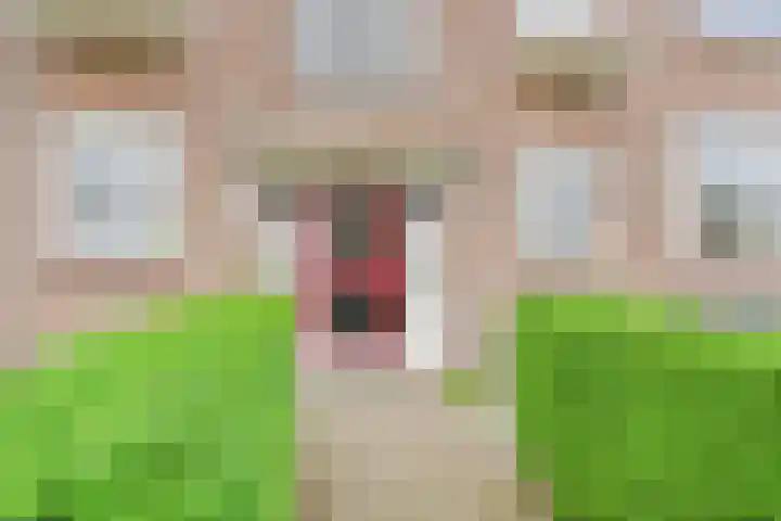 Wijnandt van Elststraat 40 Rijswijk thumbnail 8