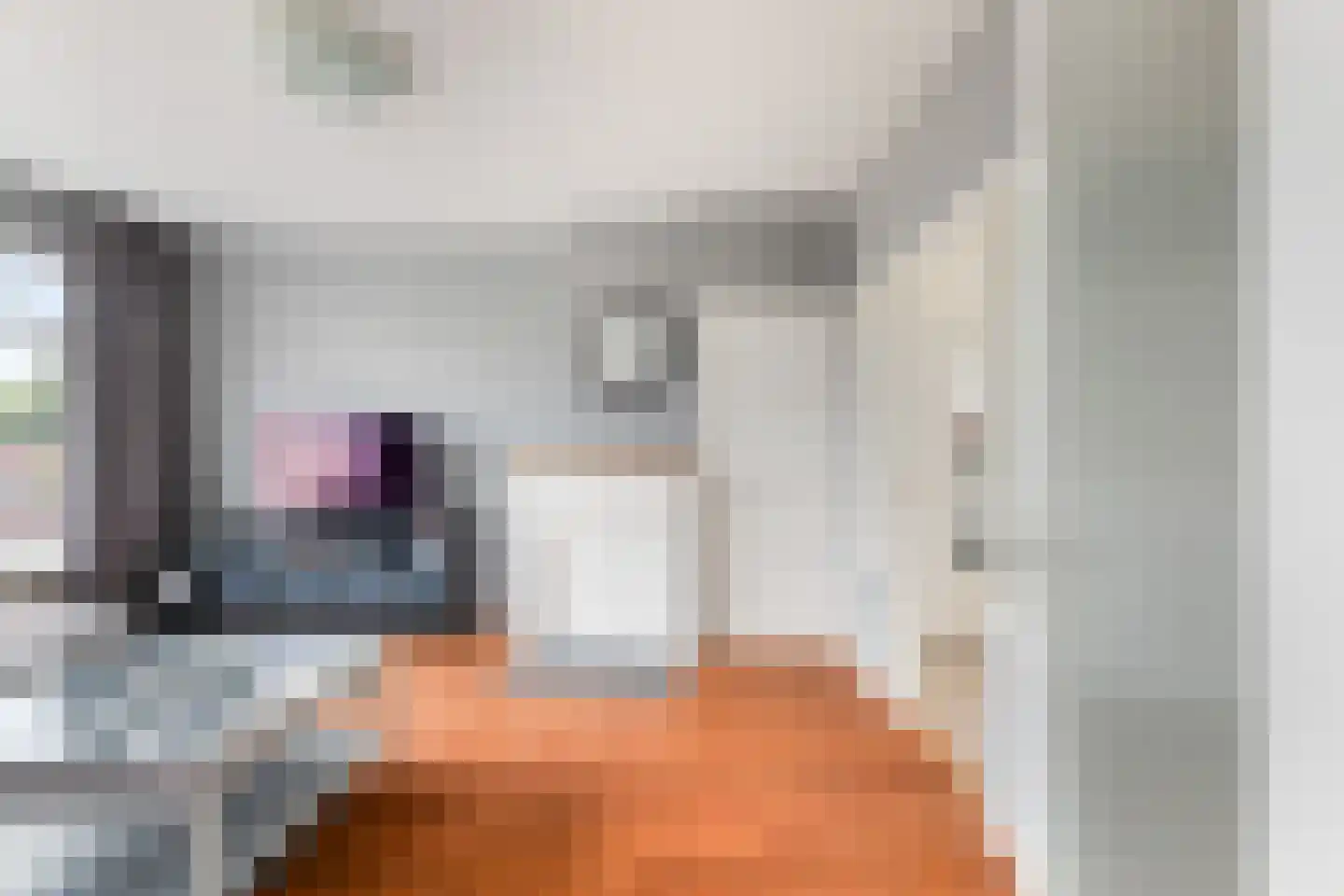 Wijnandt van Elststraat 44 Rijswijk thumbnail 11