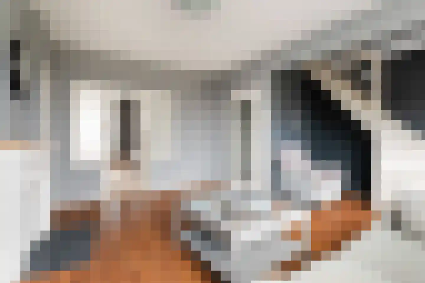 Wijnandt van Elststraat 44 Rijswijk thumbnail 13