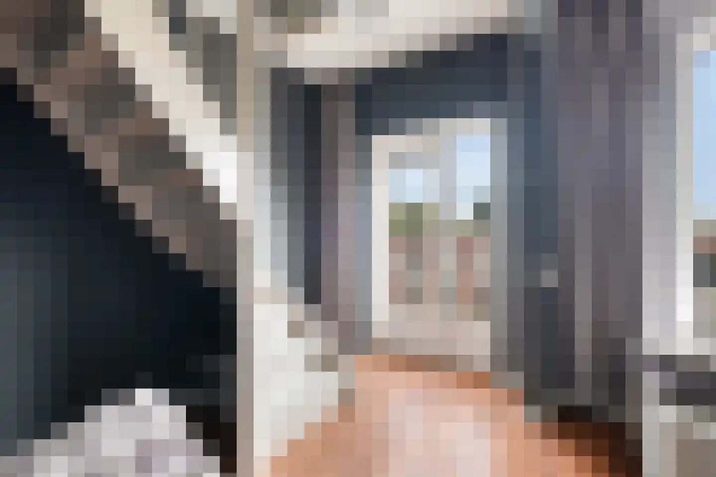 Wijnandt van Elststraat 44 Rijswijk thumbnail 15