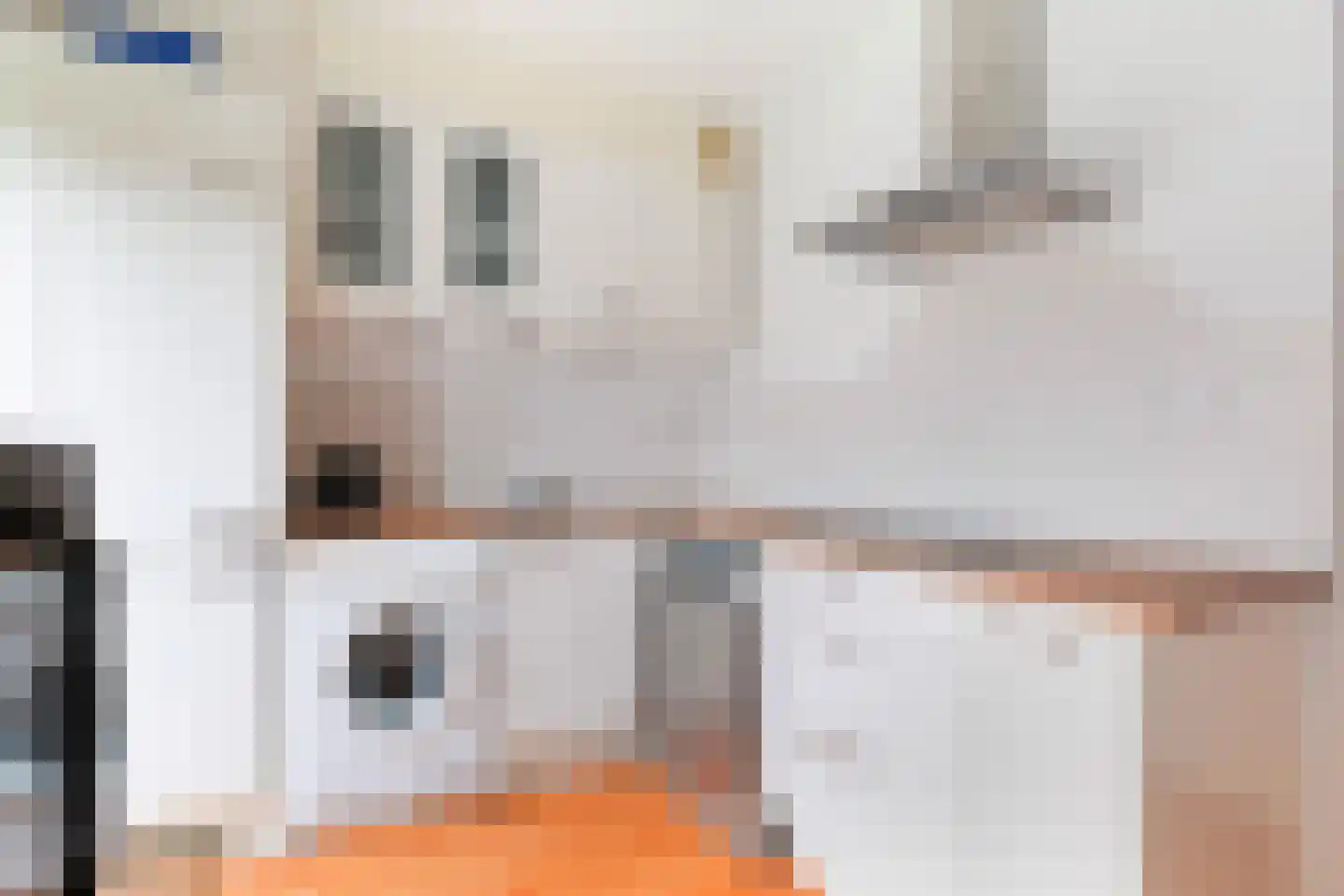Wijnandt van Elststraat 44 Rijswijk thumbnail 21