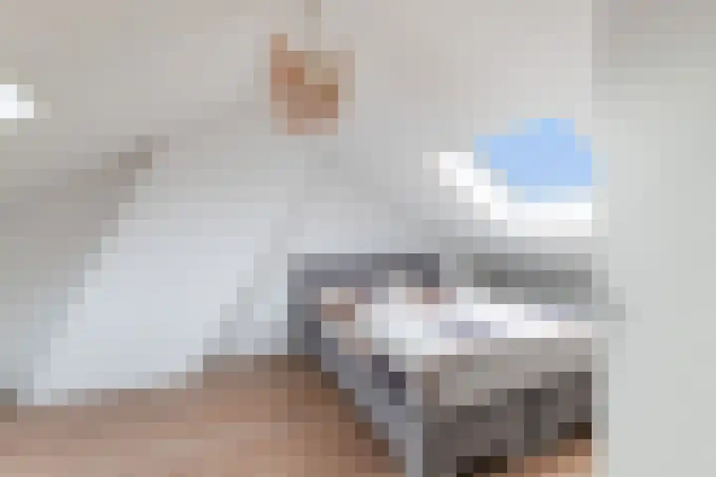 Wijnandt van Elststraat 44 Rijswijk thumbnail 31