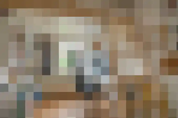 Wijnandt van Elststraat 48 Rijswijk thumbnail 10