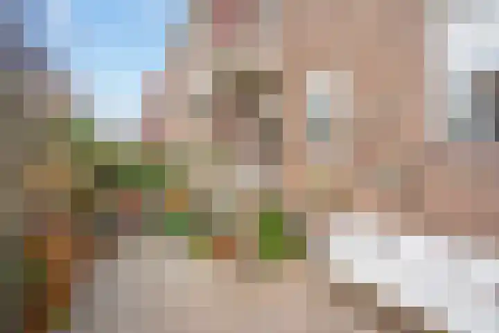 Wijnandt van Elststraat 48 Rijswijk thumbnail 18