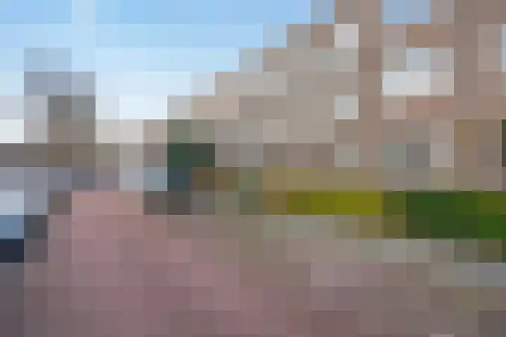 Wijnandt van Elststraat 48 Rijswijk thumbnail 20