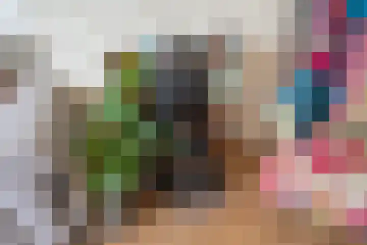 Wijnandt van Elststraat 48 Rijswijk thumbnail 7