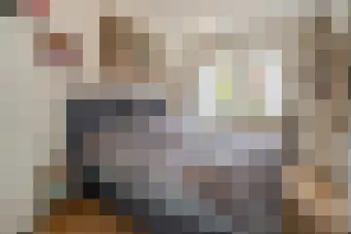 Wijnandt van Elststraat 48 Rijswijk thumbnail 8