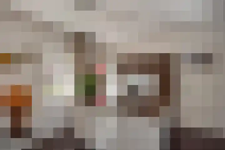 Wijnandt van Elststraat 68 Rijswijk thumbnail 12