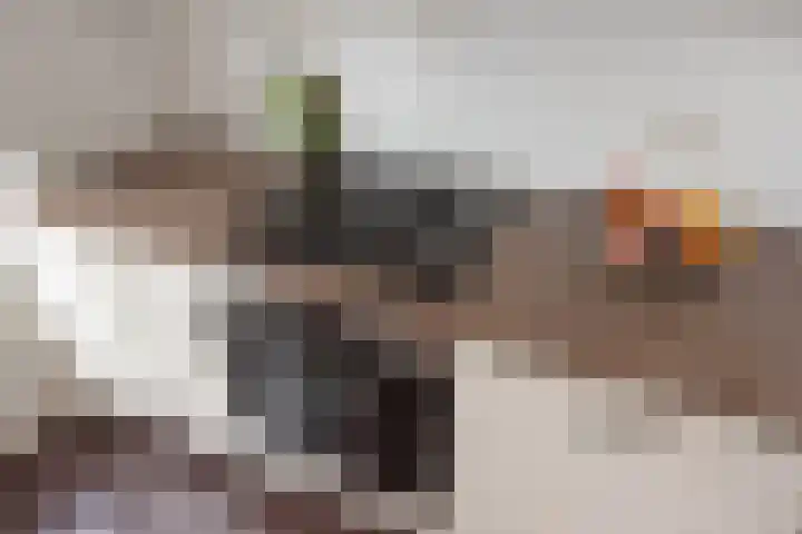 Wijnandt van Elststraat 68 Rijswijk thumbnail 15