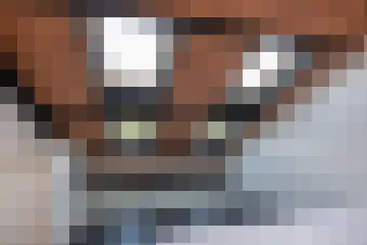 Wijnandt van Elststraat 68 Rijswijk thumbnail 21