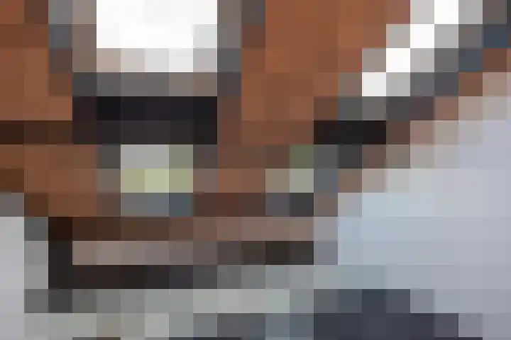 Wijnandt van Elststraat 68 Rijswijk thumbnail 23