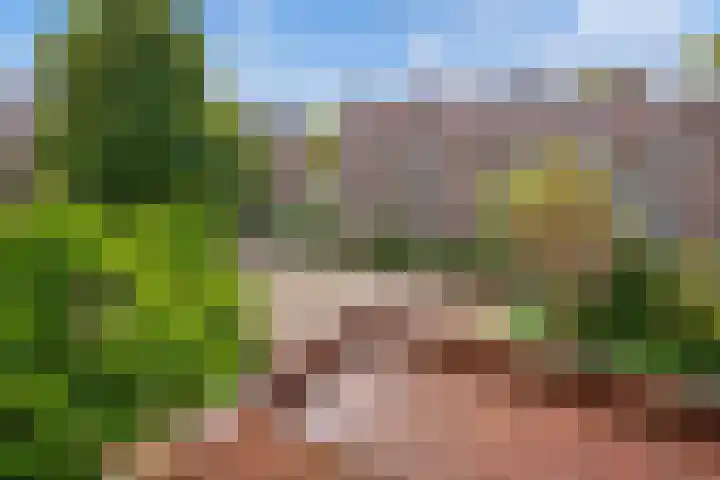 Wijnandt van Elststraat 68 Rijswijk thumbnail 27