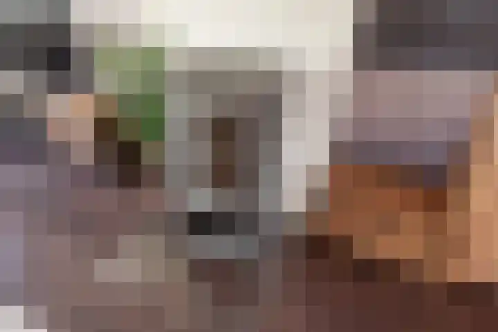 Wijnandt van Elststraat 68 Rijswijk thumbnail 29