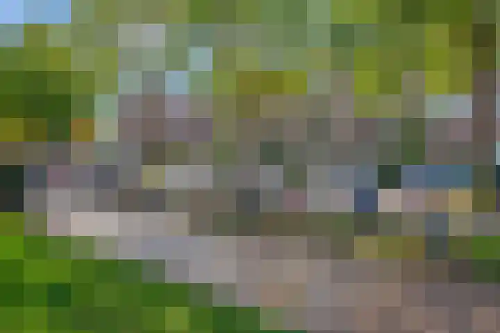Wijnandt van Elststraat 68 Rijswijk thumbnail 30