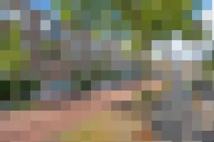 Wijnandt van Elststraat 68 Rijswijk thumbnail 31