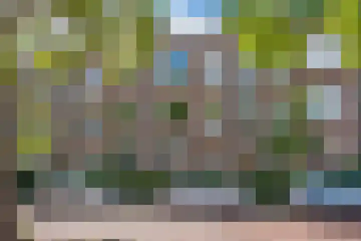 Wijnandt van Elststraat 68 Rijswijk thumbnail 4