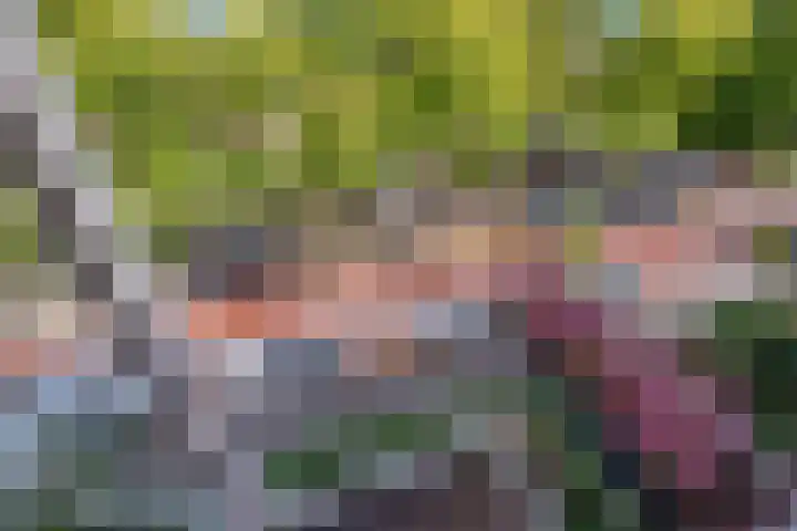 Wijnandt van Elststraat 68 Rijswijk thumbnail 6