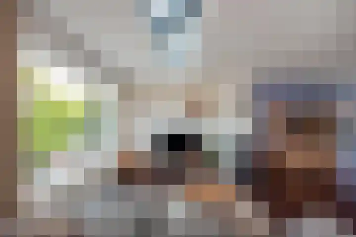 Wijnandt van Elststraat 68 Rijswijk thumbnail 9