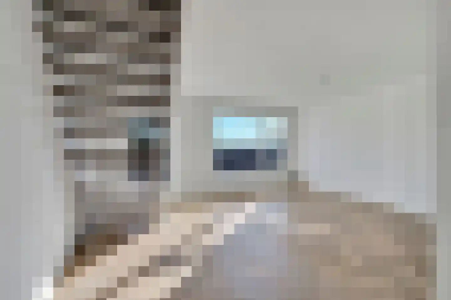 Wijnandt van Elststraat 8 Rijswijk thumbnail 5