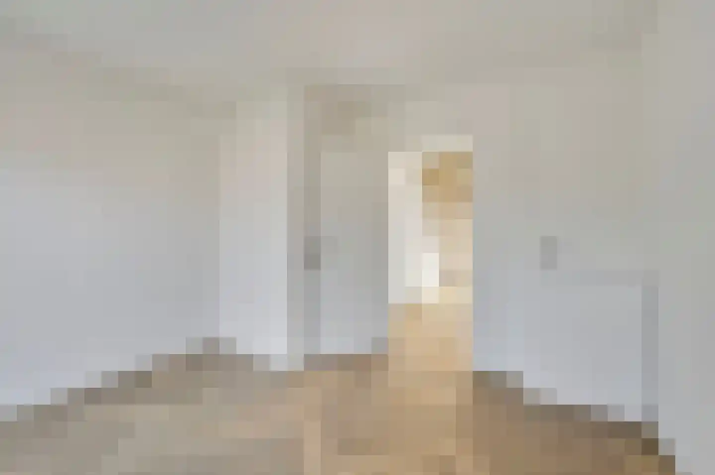 Wijnandt van Elststraat 8 Rijswijk thumbnail 9