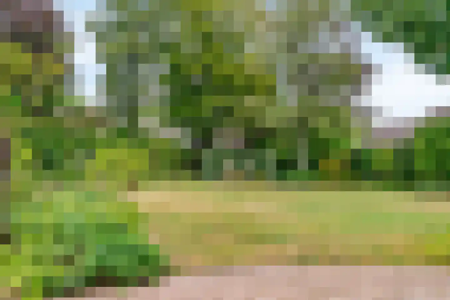 Wijnant Nuijenstraat 20 Woerden thumbnail 10
