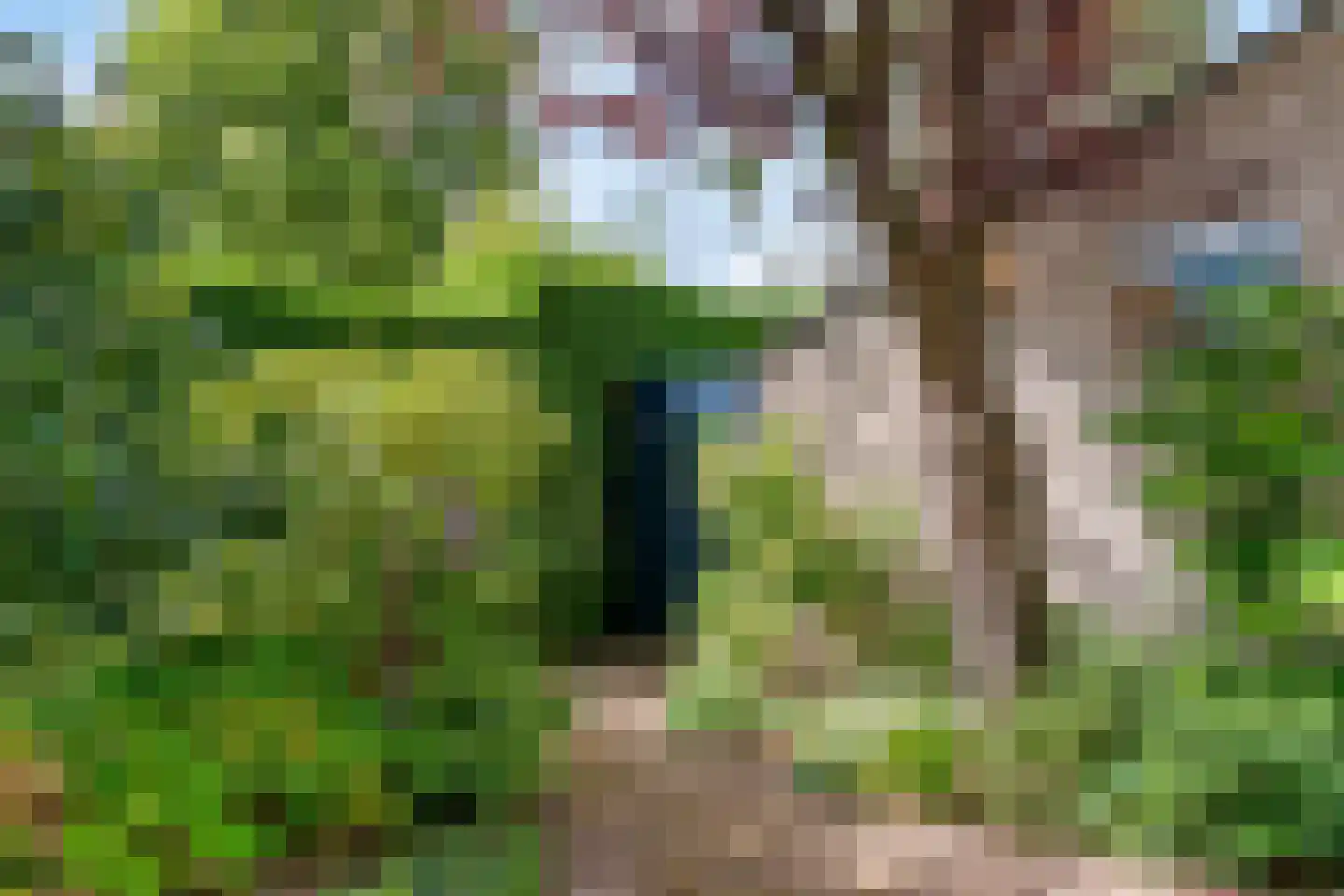 Wijnant Nuijenstraat 20 Woerden thumbnail 40