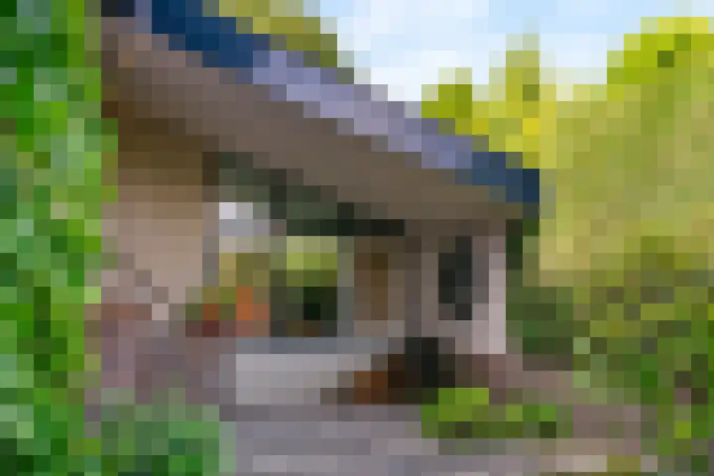Wijnant Nuijenstraat 20 Woerden thumbnail 42