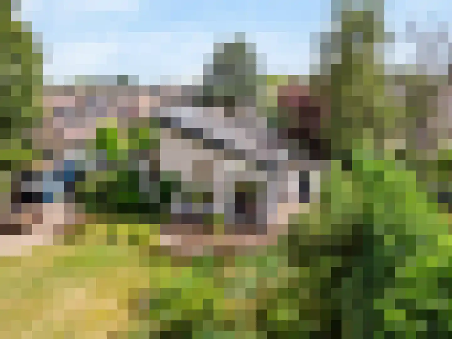 Wijnant Nuijenstraat 20 Woerden thumbnail 44