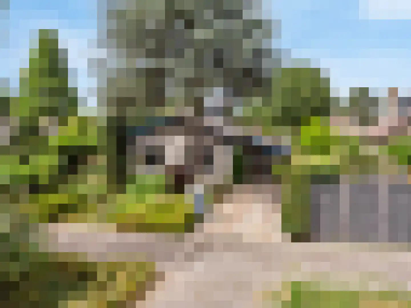Wijnant Nuijenstraat 20 Woerden thumbnail 5